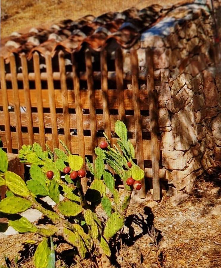 Villa Smeralda Olbia Dış mekan fotoğraf
