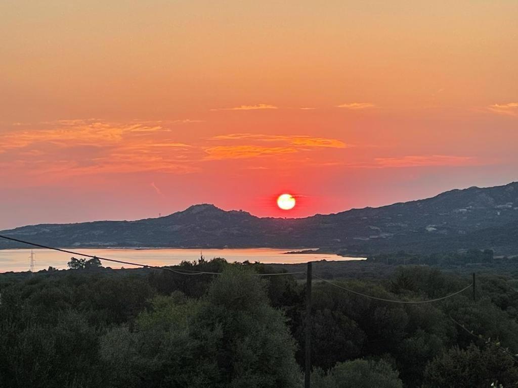 Villa Smeralda Olbia Dış mekan fotoğraf